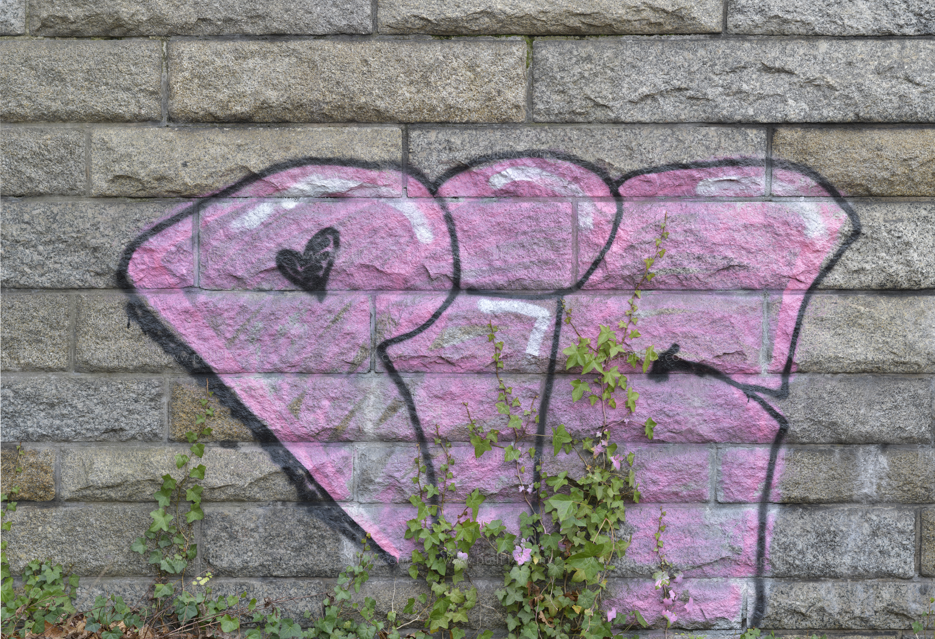 Preview Pink Graffito.jpg